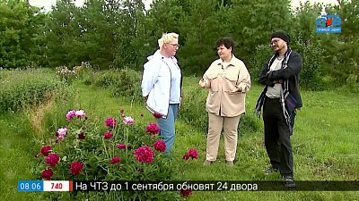 Сад семьи Коломейских в рубрике «Пройдемте в сад!»