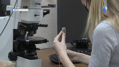 В России разоблачили фейк о холере