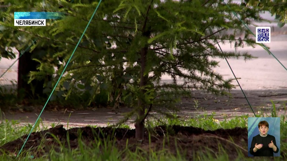 Экскурсия по «зелёным» сокровищам города