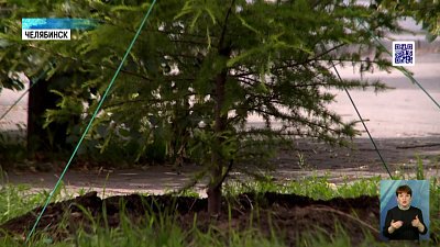 Экскурсия по «зелёным» сокровищам города