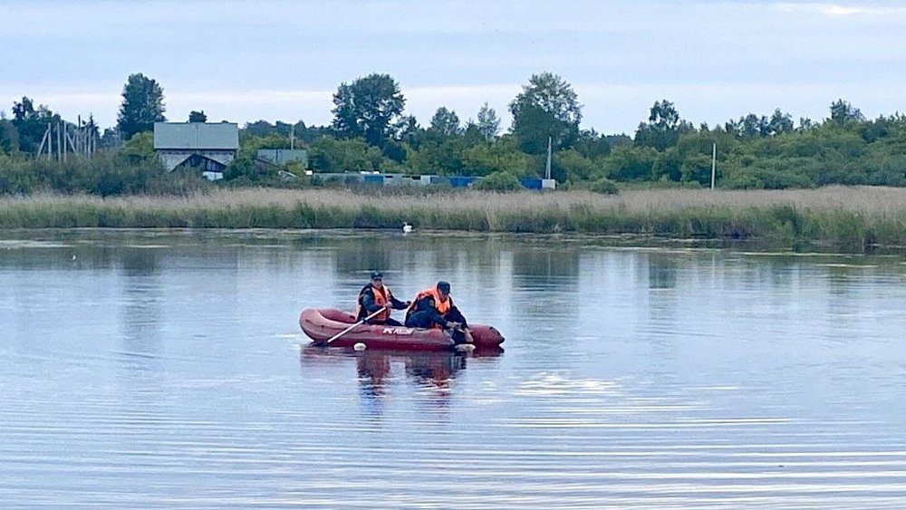 Двое мужчин утонули при спасении лебедей в Чебаркульском районе