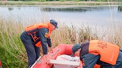 Двое мужчин утонули при спасении лебедей в Чебаркульском районе