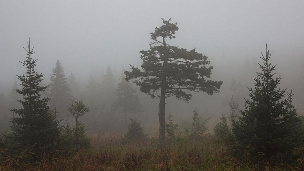 На Таганае заметили призрак чернолесья