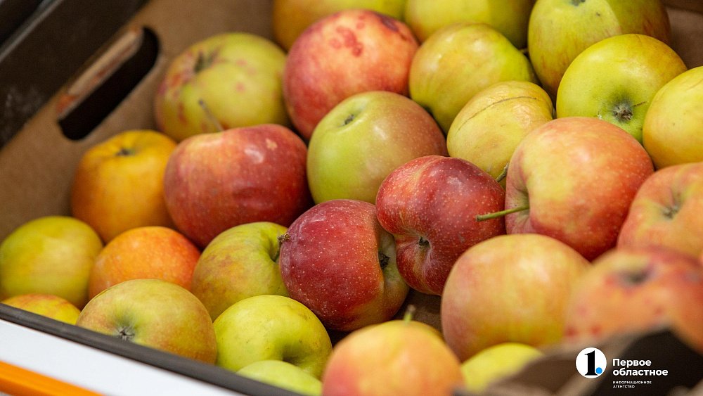 Челябинский Россельхознадзор выявил на госгранице 11 нарушений при ввозе фруктов и овощей