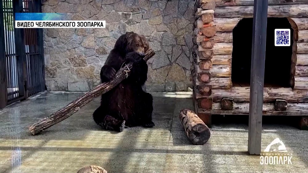 Как Малыш из зоопарка встречает новый день?