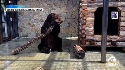 Как Малыш из зоопарка встречает новый день?