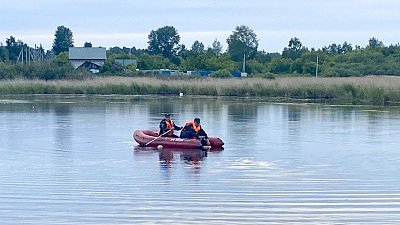 В Чебаркульском районе мужчины утонули, спасая лебедей