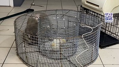 Происшествия недели 09.07.2022