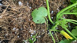 На западе Челябинской области прошел ураган с градом