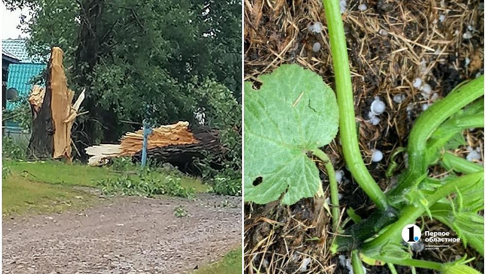 На западе Челябинской области прошел ураган с градом
