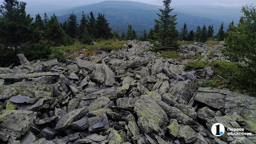 В Златоусте появилась новая экотропа «Веселовская околица»