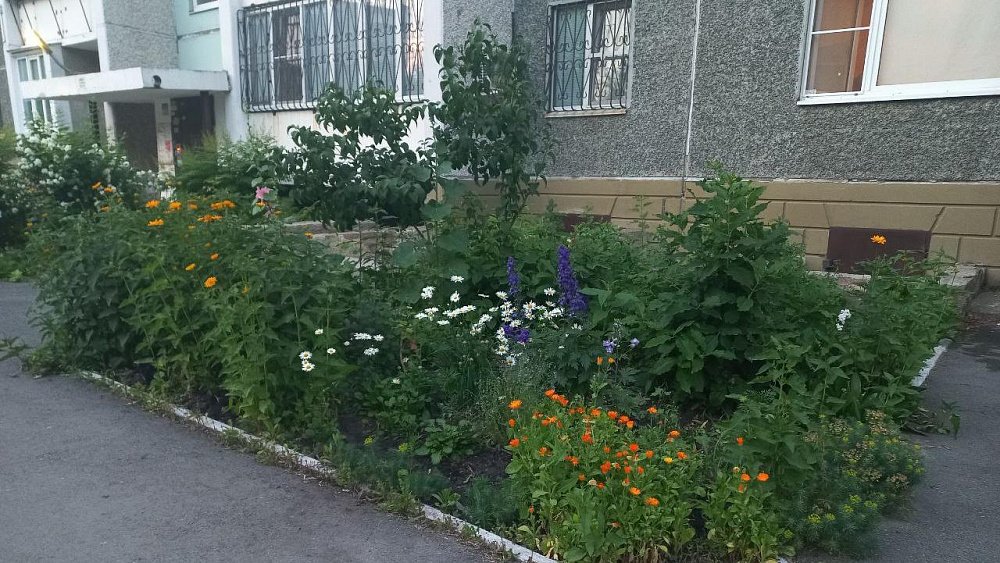 В Челябинске выберут лучшие дворы