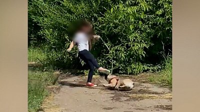 В Магнитогорске ребенок тащил по земле и пинал мопса