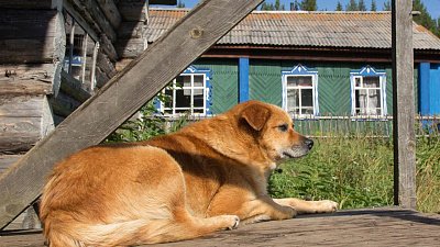 В Челябинской области хотят регулировать работу гостевых домов