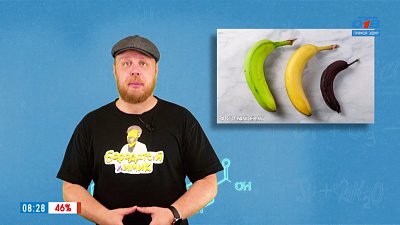 «Почему дозревают фрукты и овощи?» в рубрике «Похимичим?»