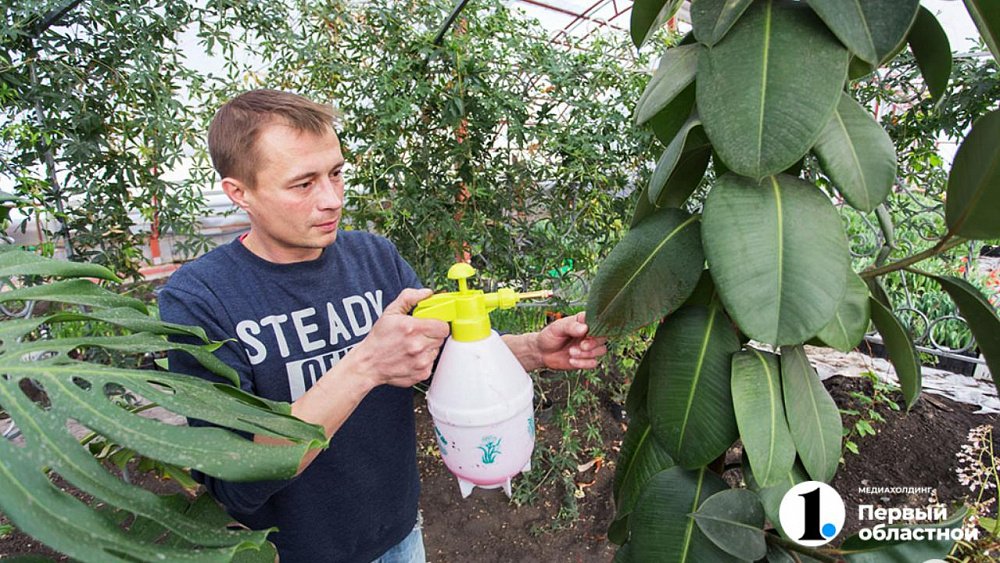 В Челябинской области садоводы будут платить налог на теплицы