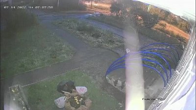 В Магнитогорске цветочный вор попал в объектив камеры