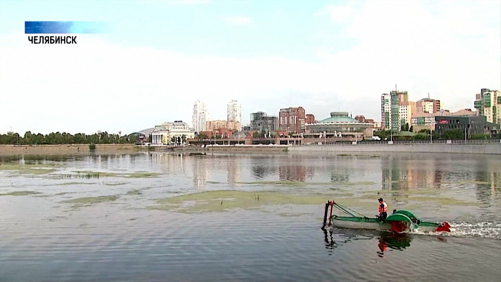 Реку Миасс в Челябинске чистят от водорослей