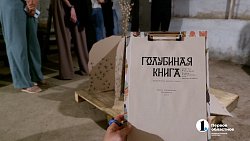 Зачем искусство голубям: в Челябинске выставили арт-объекты для птиц