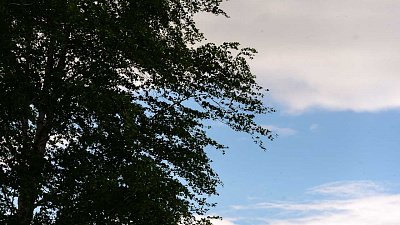 Челябинских бизнесменов оставят без связи и забросят в лес