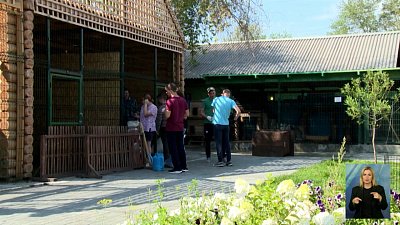 Даллакян поможет посёлку Новосинеглазово