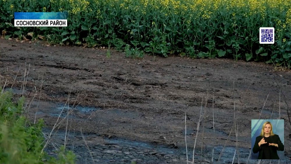 Дачники Сосновского района жалуются на запах