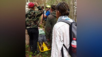 Пенсионера из Златоуста, блуждающего в лесу, эвакуировали спасатели
