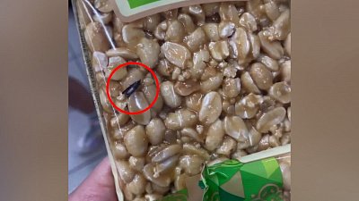 Жители Магнитогорска обнаружили жуков в упаковках с козинаками