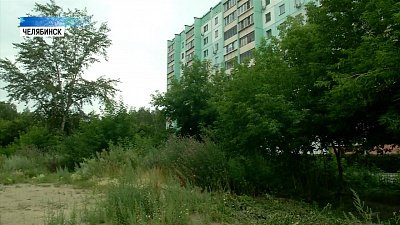 Лишили красоты: что грозит за несогласованную вырубку деревьев?