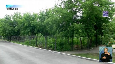 Что грозит за несогласованную вырубку деревьев?