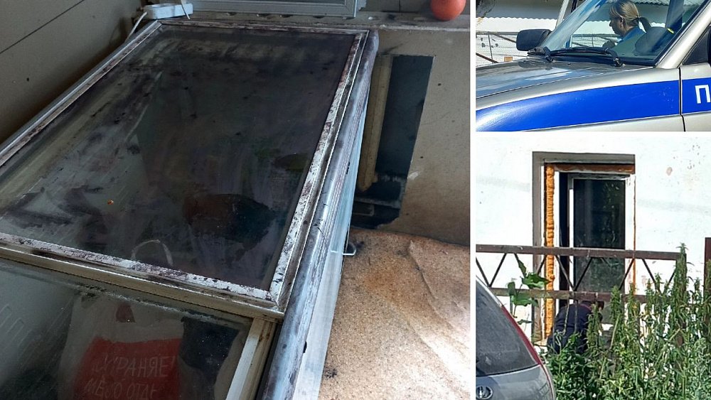 В Катав-Ивановске обокрали приют для животных и выпустили питомцев