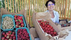 В Челябинской области на «Дне поля» собрались 100 предприятий и фермерских хозяйств