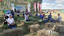 В Челябинской области на «Дне поля» собрались 100 предприятий и фермерских хозяйств