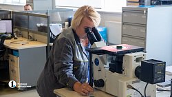 Новое литейно‑кузнечное производство может появиться на «Станкомаше» в Челябинске