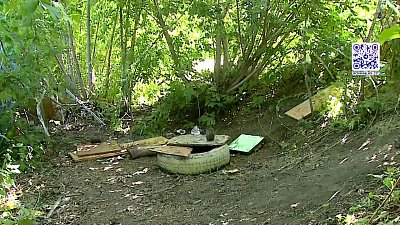 Происшествия недели 23.07.2022