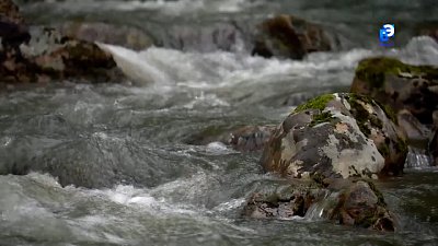 Школьники увидят красоты Южного Урала