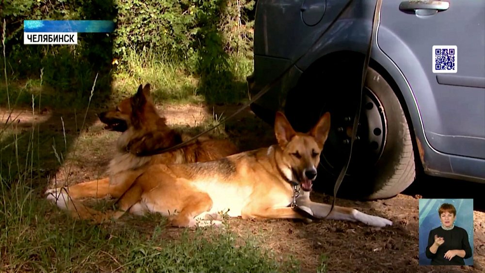 Челябинцы отдохнули на Кольском полуострове