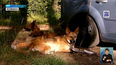 Челябинцы отдохнули на Кольском полуострове