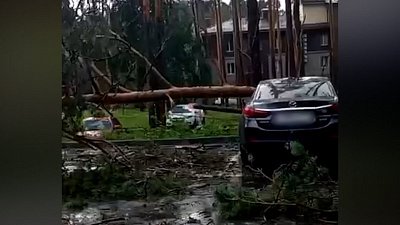 Ураган пронесся над санаторием «Еловое» в Чебаркуле