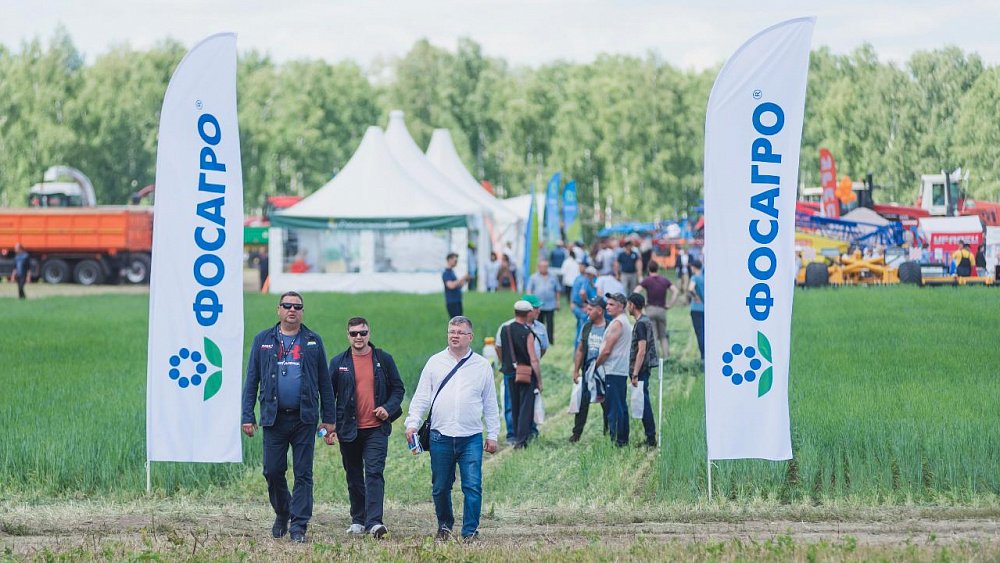 «Питательный коктейль» поможет растениям пережить засуху