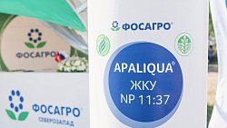 «Питательный коктейль» поможет растениям пережить засуху