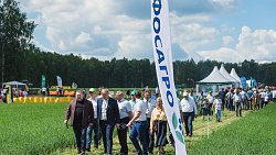 «Питательный коктейль» поможет растениям пережить засуху