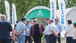 «Питательный коктейль» поможет растениям пережить засуху