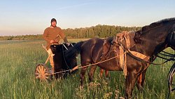 В Челябинской области каскадер опробует боевую колесницу бронзового века
