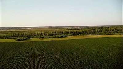 «Эти русские поля...»: энтузиаст с дроном заснял природу Южного Урала