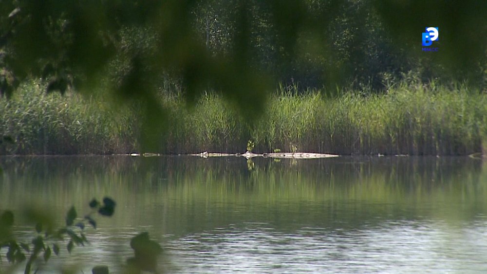 Тело утонувшего мужчины искали всю ночь