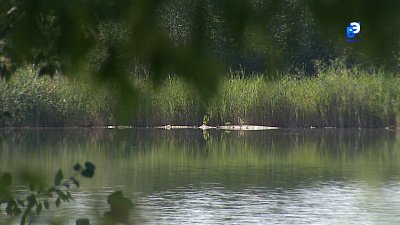 Тело утонувшего мужчины искали всю ночь