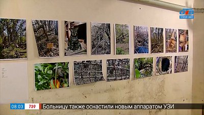 Искусство для пернатых в сюжете «Птичье биеннале»