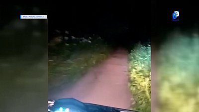 Мальчики сбежали из лагеря