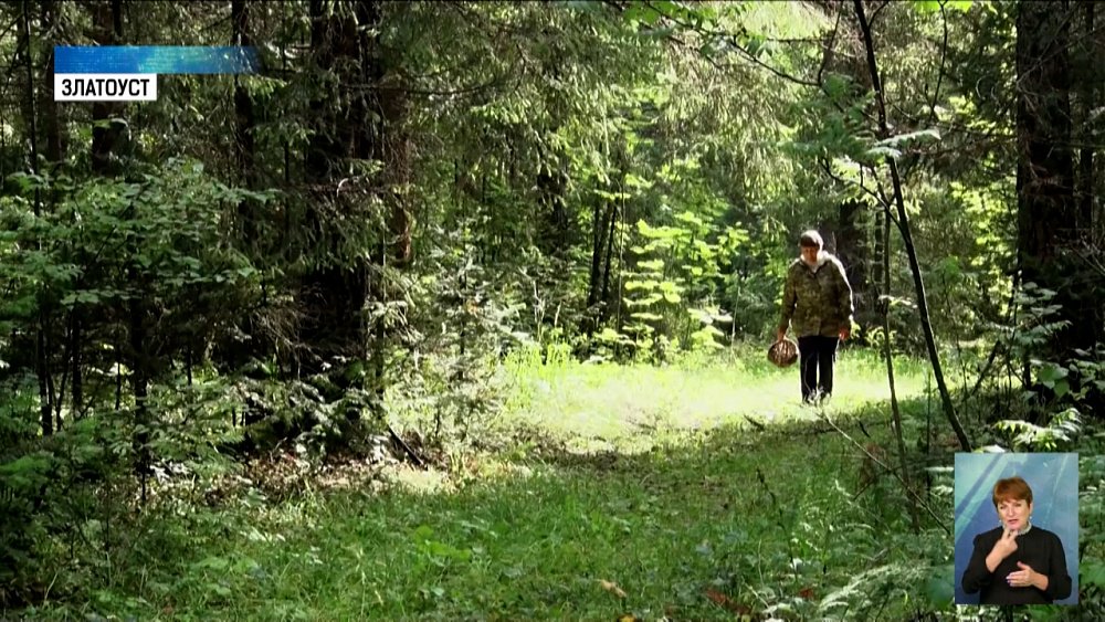 На Таганае заканчивается первый грибной слой